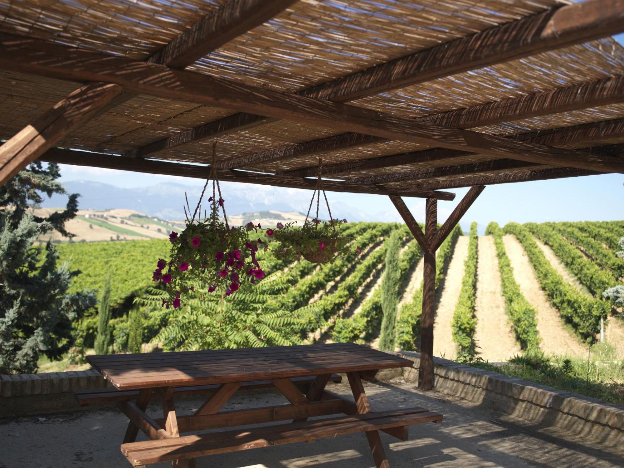 Contado San Lorenzo B&B And Wine Castilenti المظهر الخارجي الصورة