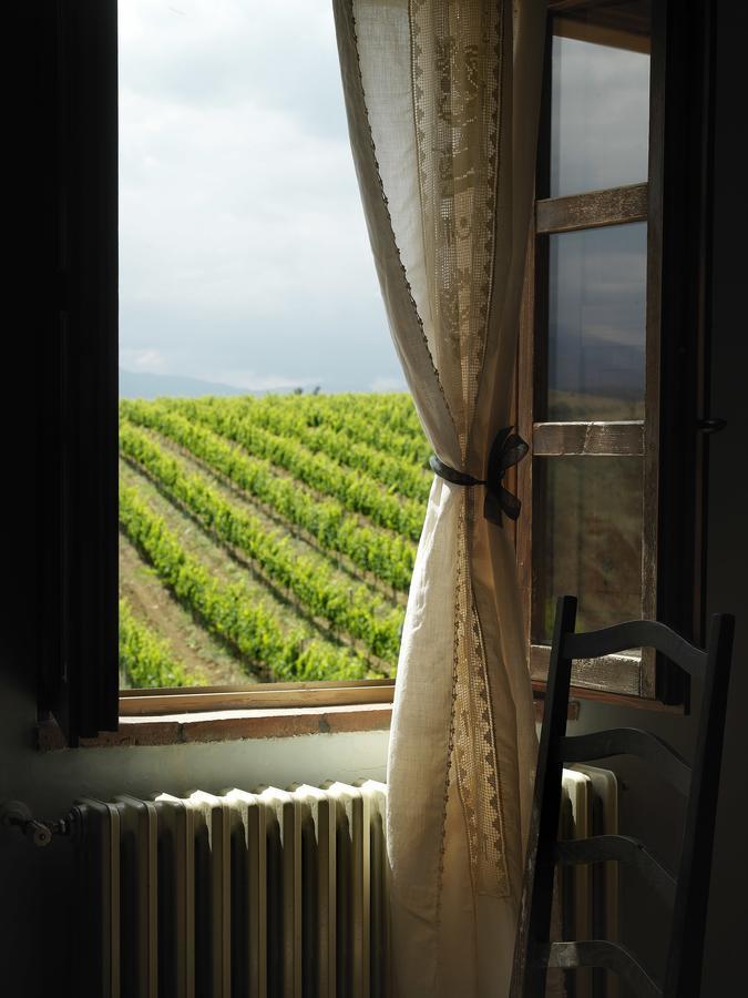 Contado San Lorenzo B&B And Wine Castilenti المظهر الخارجي الصورة