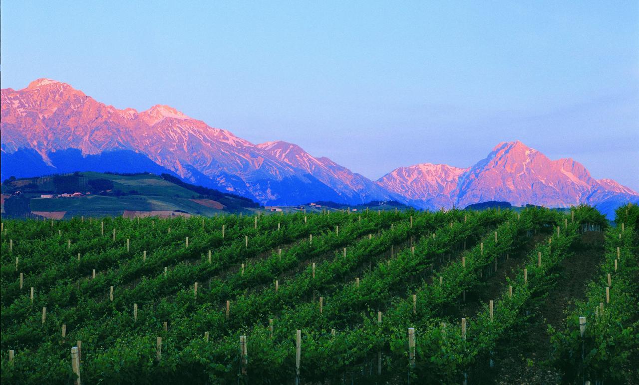 Contado San Lorenzo B&B And Wine Castilenti المظهر الخارجي الصورة